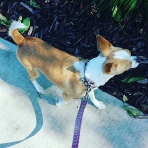 Meet your Posher, Evangelina